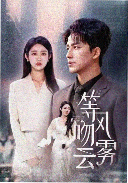 春潮漫过旧码头 都市情感剧在线观看